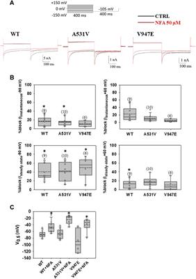 Chaperone activity of niflumic acid on ClC-1 chloride channel mutants causing myotonia congenita